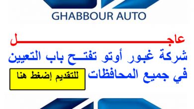 شركة غبور