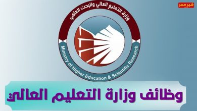 وظائف وزارة التعليم العالى