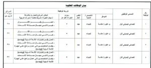 جهاز مشروعات الخدمة الوطنية