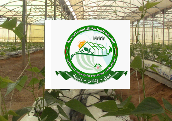 الشركة الوطنية للزراعات المحمية