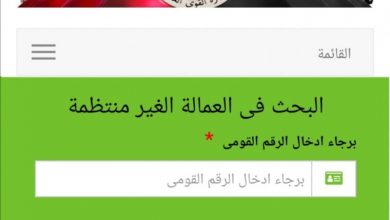العمالة غير المنتظمة