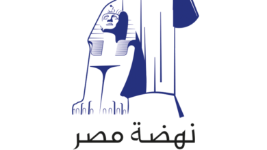 دار نهضة مصر للنشر